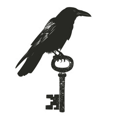 Fototapeta premium curious crow with shiny black feathers inspects an old, tarnished key resting on a pristine white surface