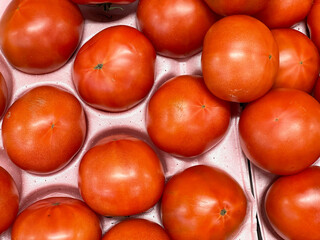 採れたてみずみずしい夏の野菜　真っ赤なトマト