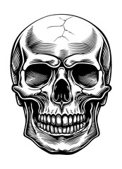 Obraz premium skull head engraving black and white outline