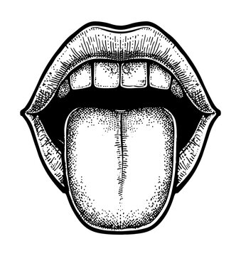 recommend clip art: open mouth tongue engraving black and white outline