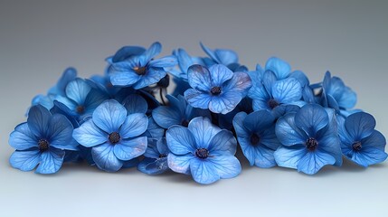 A cluster of delicate blue forget-me-not flowers, evoking feelings of nostalgia and remembrance