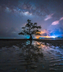 Milky Way Above Lonely Tree
