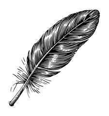 feather pen engraving black and white outline