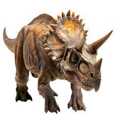 triceratops dinosaur isolated on transparent background