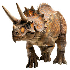 triceratops dinosaur isolated on transparent background