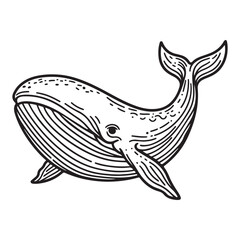 Naklejka premium Line art of whale cartoon vector