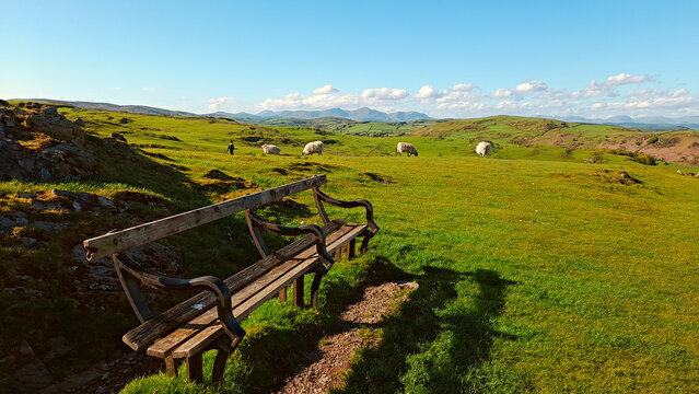 Rear of hoad hill ,(monument)ulverston,cumbria -bench sheep in the middle ground,hills in background