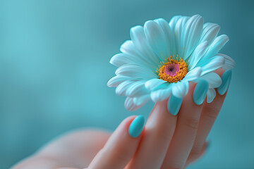 woman hand with blue nails holds a chamomile on blue background - 797517416