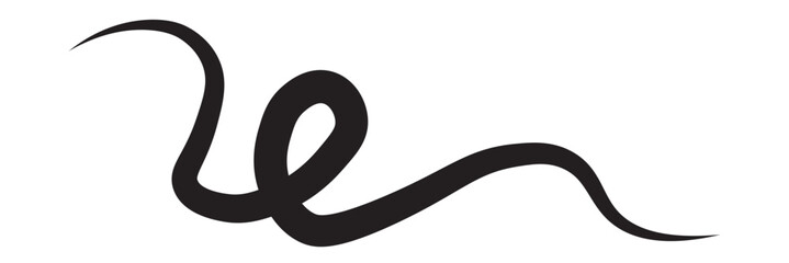 Abstract wavy thin line. Squiggle elements. Vector isolated illustration eps10