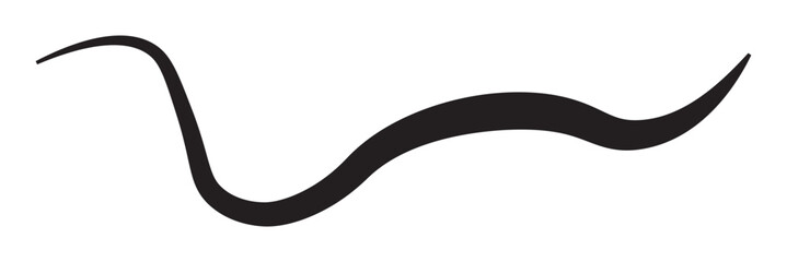 Abstract wavy thin line. Squiggle elements. Vector isolated illustration eps10