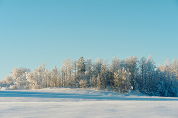 Winter time in the cultural landscape of Toten, Norway, in January. Image shot in the area between Kolbu Church and Gardlausstua.