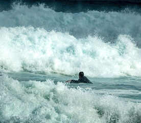Obraz premium Lone surfer swimming against the waves on the Santa Barbara beach, Azores