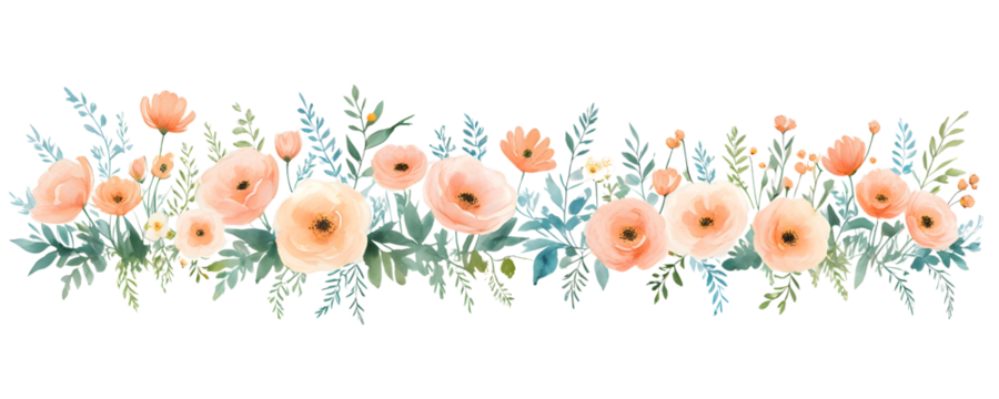 Watercolor summer wildflowers on a transparent background. Botanical leaves