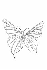 Butterfly in One continuous line drawing. Beautiful flying moth for wellbeing beauty or spa salon logo concept in simple linear style.