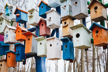Colorful bird houses adorn the tree like a vibrant art fixture