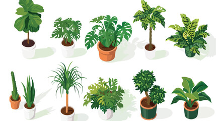 Set of decorative houseplants isolated on white background