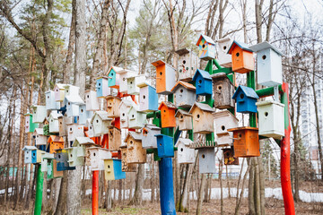 Colorful bird houses stacked on tree in forest for leisure