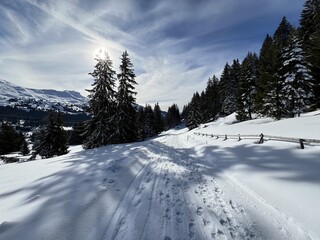 A magical play of sunlight and shadow during the alpine winter on the snowy slopes above the mountine Swiss tourist of Valbella and Lenzerheide in the Swiss Alps - Canton of Grisons, Switzerland