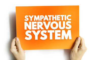 Sympathetic Nervous System - network of nerves that helps your body activate its “fight-or-flight” response, text concept on card - 797583094