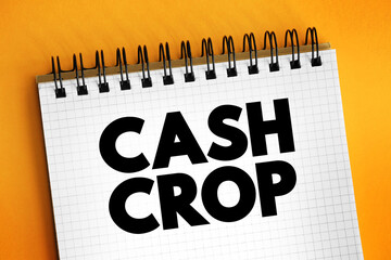 Cash Crop is an agricultural crop which is grown to sell for profit, text concept on notepad