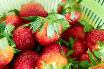 Ripe bright strawberries on a green background