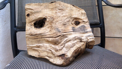 Face on Olive Log