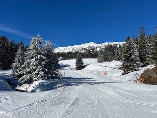 Amazing sport-recreational snowy winter tracks for skiing and snowboarding in the area of the...