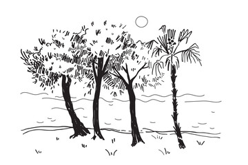 Panoramic view of beech trees and calm sea, ink sketch hand drawn vector illustration of seaside with palm, tree, water, sun, marine motive. Abstract coast landscape, Line art. Travel, nature vacation