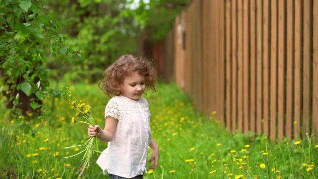 Curly little girl throwing dandelions flowers