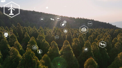 Save the planet earth day low CO2 emission. Aerial forest tree nature view with big data global...