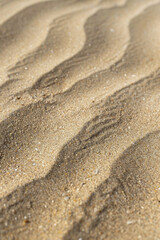 Fototapeta na wymiar Sand textures with varying grain sizes and patterns, such as beach sand or desert sand. Sand textures can convey a serene and tranquil atmosphere. 