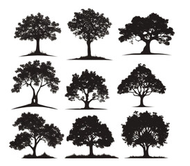 Fototapeta premium Tree Silhouettes Set – Black Nature Trees Isolated on White Background
