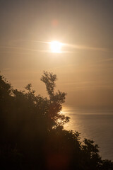 Naklejka premium 奄美の夜明け