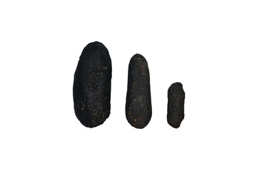 Fat round stick of tektites natural rock stone meteorite specimen isolated on white background.