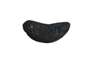 Bent of tektite natural stone meteorite  specimen isolated on white background.    