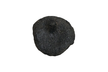 Cut out breast shape of tektite natural stone meteorite isolated on white background.