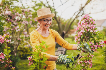 Portrait of happy senior woman gardening. She is pruning flowers.	