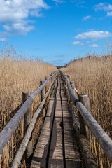 Whispers of the Marsh: Journeying Through Kanieris' Reed Trail