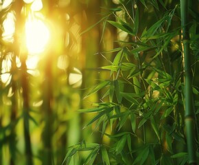 Naklejka premium Sun shining through bamboo trees