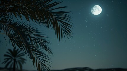 Fototapeta na wymiar Silhouette of a palm tree against the moon in a desert oasis