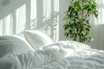 Minimalist bedroom with white bedding, a green plant, and morning sunlight for a fresh, clean lifestyle concept 