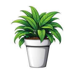 potted green plant png assets
