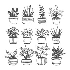 set of flowers in pots plant, flower, pot, cactus, nature, leaf, flowerpot, tree, vector, icon, garden, houseplant, decoration, set, illustration, botany, growth, silhouette, flora, gardening, design,