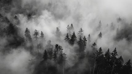 german harz mountains forest, smoke art, landscape photography, 16:9 - Powered by Adobe