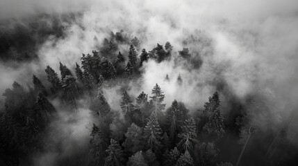 german harz mountains forest, smoke art, landscape photography, 16:9