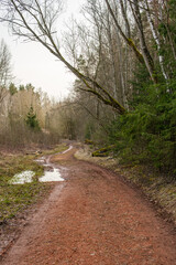 Baltic Beauty: The Red Clay Forest Road near Licu-Langu