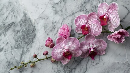 Topdown view of a beautifully arranged bunch of pink orchid flowers resting on a luxurious marble...