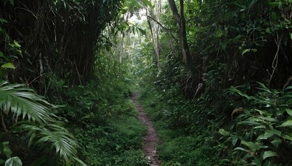 A narrow path cutting through thick jungle underbr upscaled 2