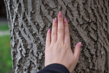 Hands on a tree. Felling nature energy, connection with a soul. Spiritual practice