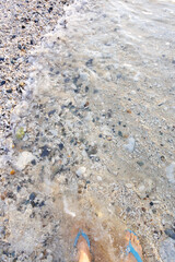 朝の阿嘉島、前浜（メーヌハマ）ビーチ。
最高に美しい白砂のビーチ。
サンゴが砕けてできた砂である。
場所によっては塊のサンゴの残骸が集まっていて、踏みしめるとソーダが弾けるようなシュワシュワとした金属質の高周波の美しい音がする。
日本国沖縄県島尻郡慶良間諸島の阿嘉島にて。
2021年4月28日撮影。
Menuhama Beach, Aka Island in the morning.
The mo